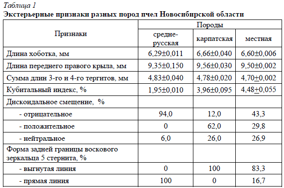 Таблица 1 Экстерьерные признаки разных пород пчел Новосибирской области