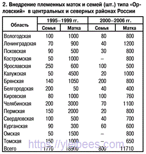 Тип среднерусских пчел  «Орловский»