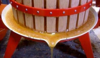 Как выглядит вересковый мед фото