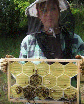  Пчеловоды Белоруссии спорят как развивать бизнес дальше
