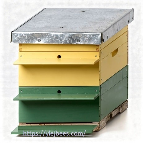 Размер улья дадан на 12 рамок чертеж и схема улья Размер улья дадан на 12 рамок чертеж и схема улья